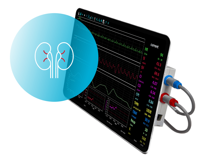 hemodynamic monitoring system